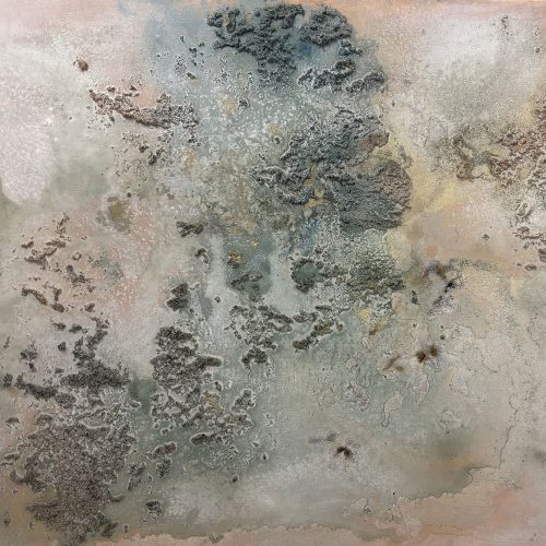 Stefania Costantino Lake natron